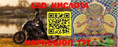 ГАЛЛЮЦИНОГЕННЫЕ ГРИБЫ Донской