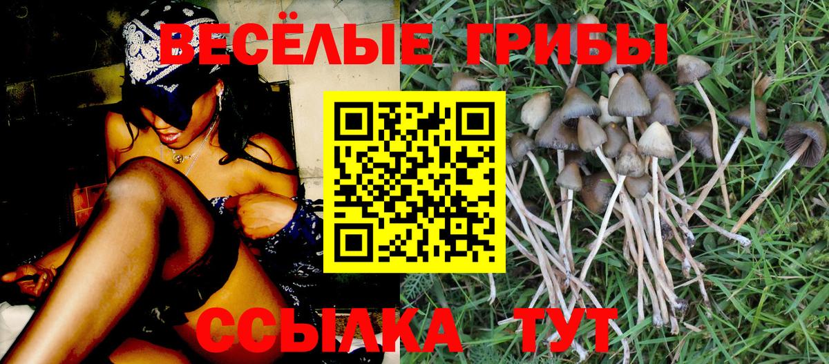 Галлюциногенные грибы MAGIC MUSHROOMS  Галлюциногенные грибы прущие грибы  Надым  Вход с VPN 